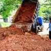 JASA BUANG PUING DAN PENGURUGAN DI BANTUL - Gambar 3