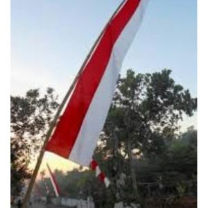 JUAL BAMBU UMBUL UMBUL TERMURAH DI KECAMATAN MANTRIJERON