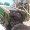 JUAL PASIR PROGO KUALITAS BAIK DI BANTUL - Gambar 2