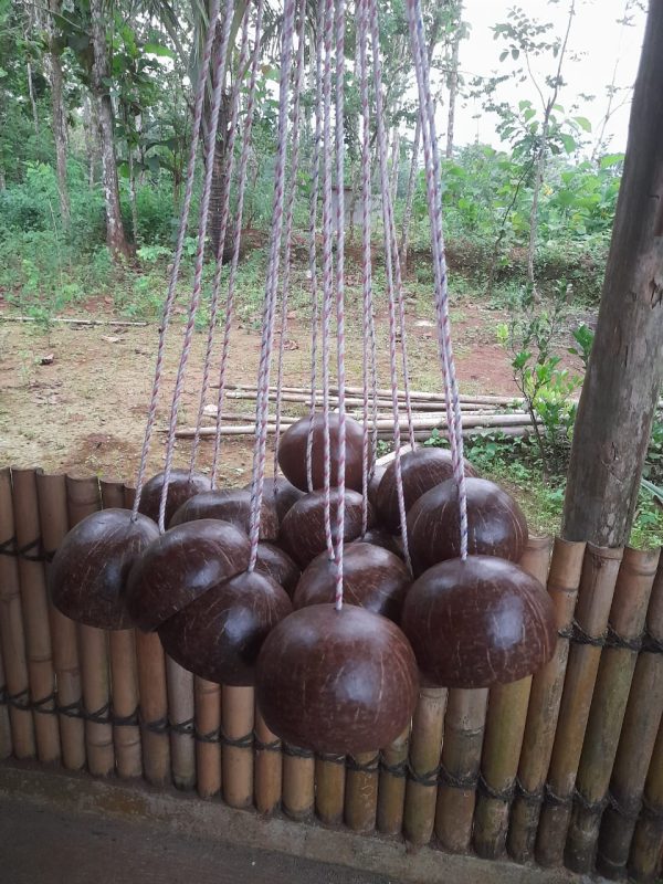 JUAL EGRANG BATOK KELAPA TERMURAH DI BANGUNTAPAN