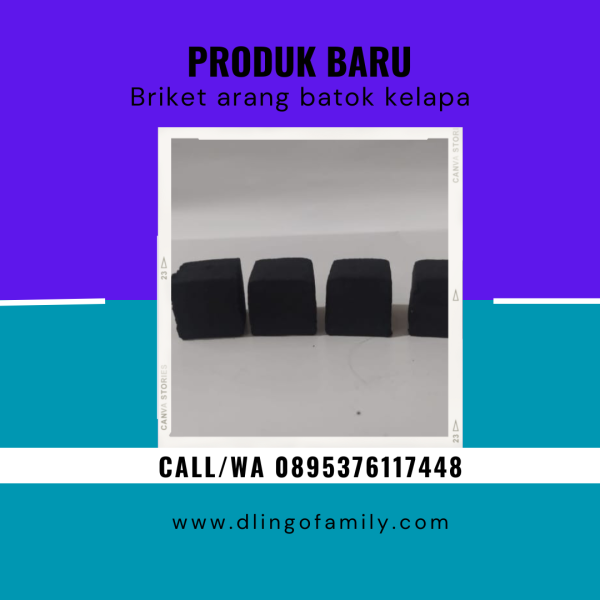 JUAL BRIKET ARNANG BATOK KELAPA TERMURAH DI KEC KEMALANG